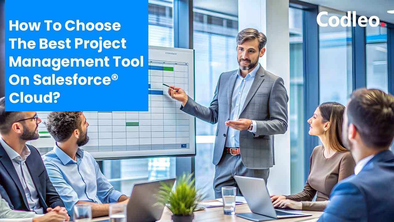 Salesforce Consulting Service