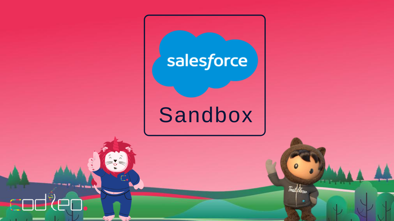 Salesforce Sandbox