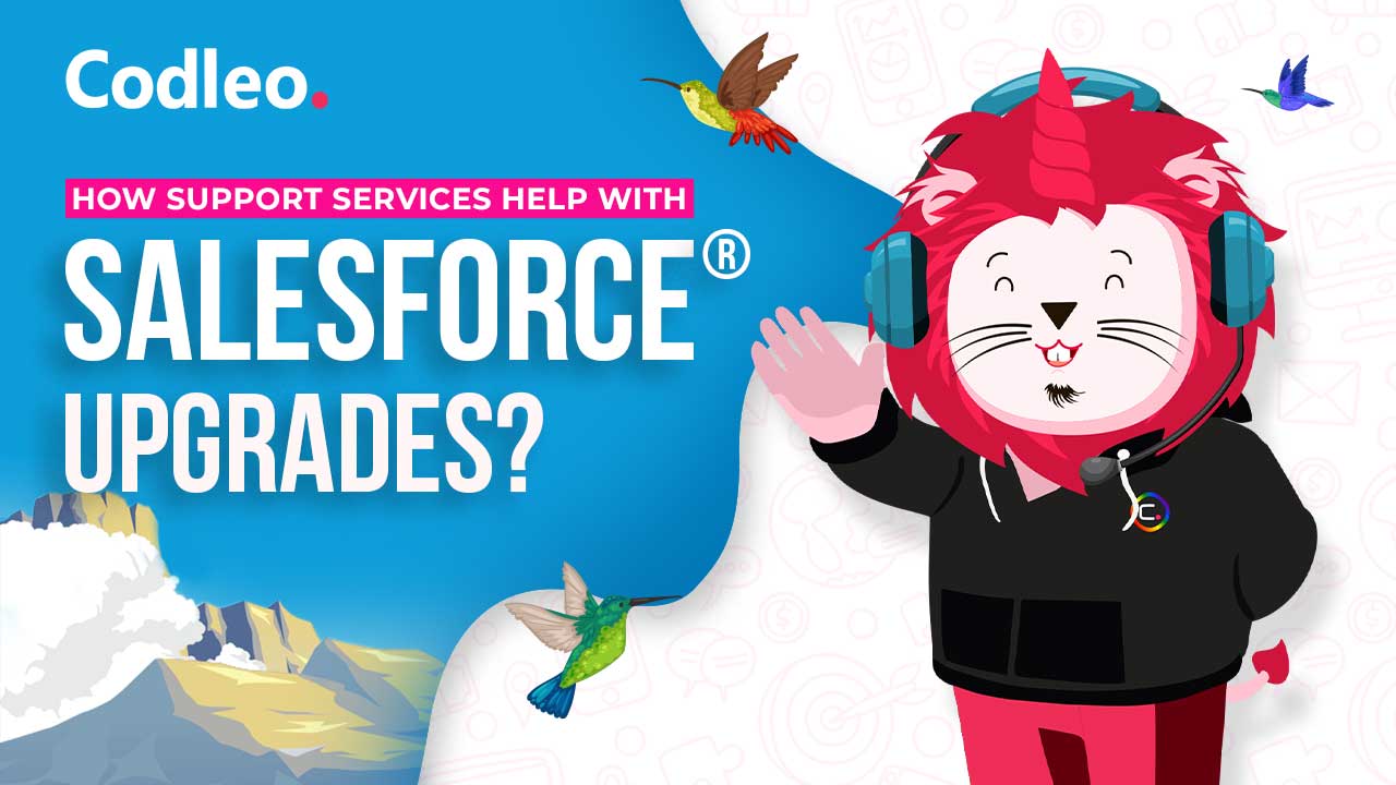 Salesforce Support Services