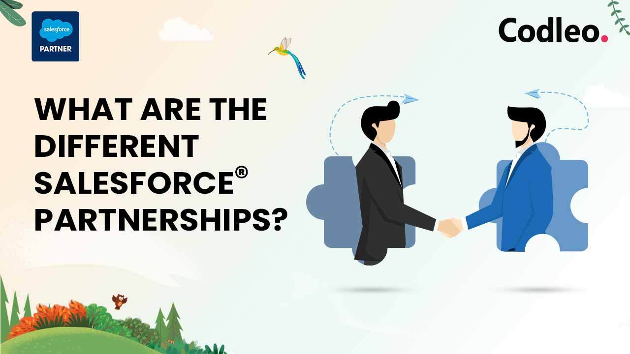 Salesforce Partner
