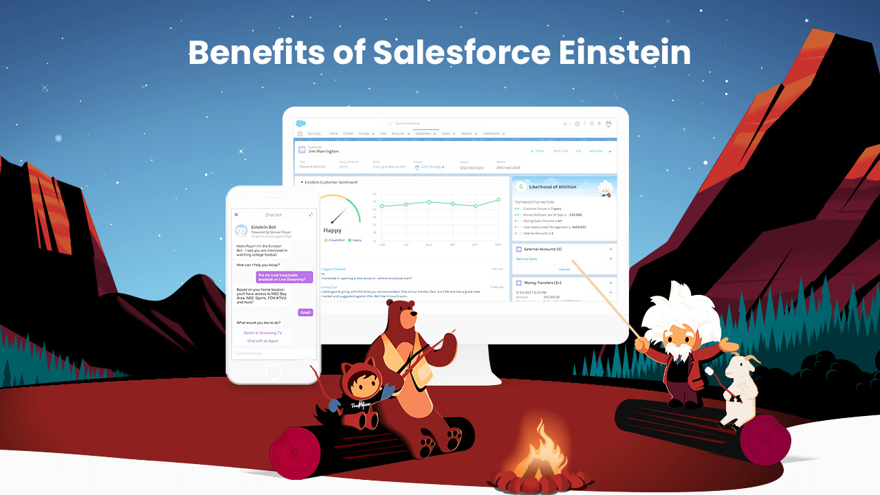 Salesforce Consulting Service