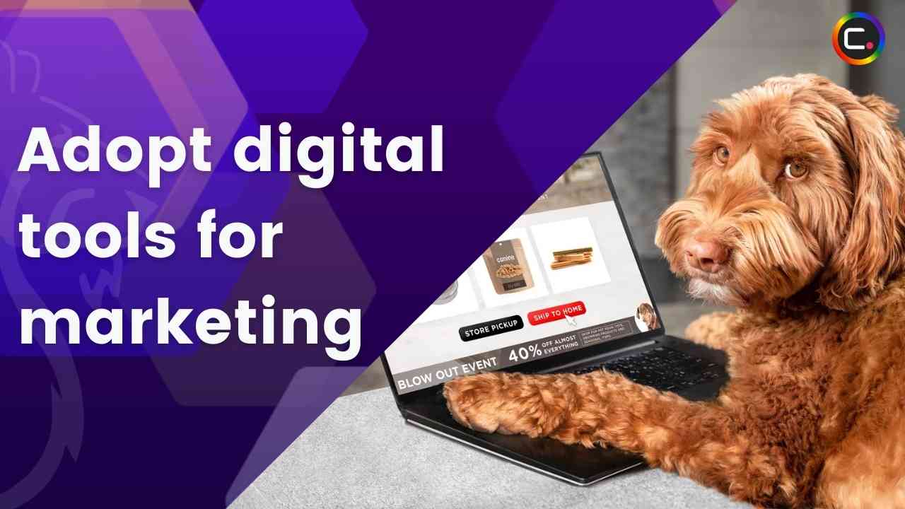 Marketing Strategies For Small Companies For 2022