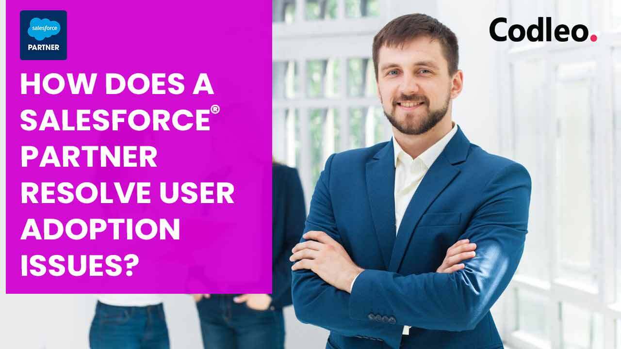 Salesforce Partners