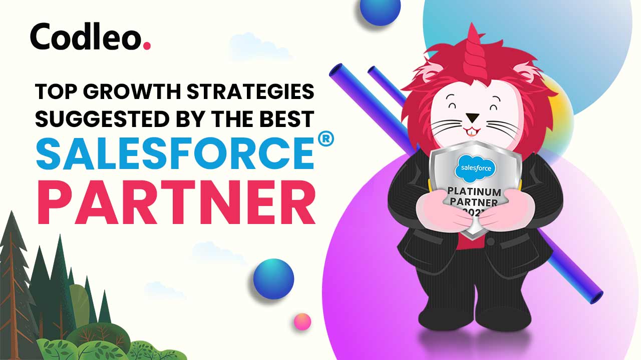 Best Salesforce Partner