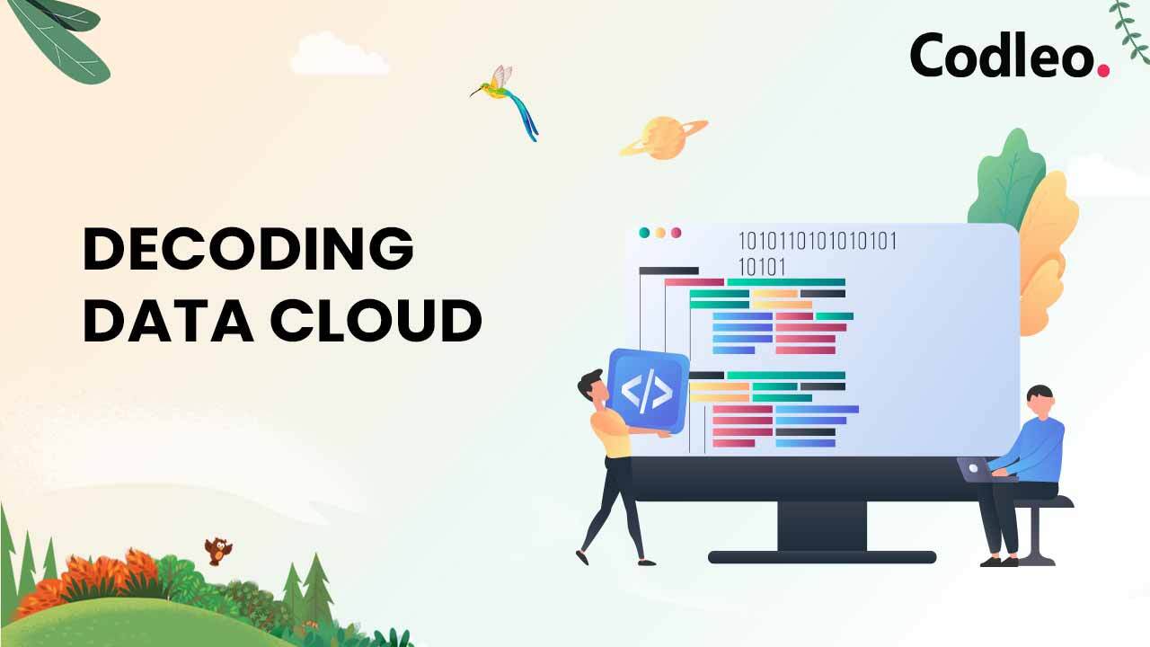 Salesforce Partners
