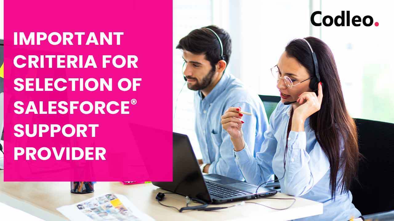 Salesforce Support Services