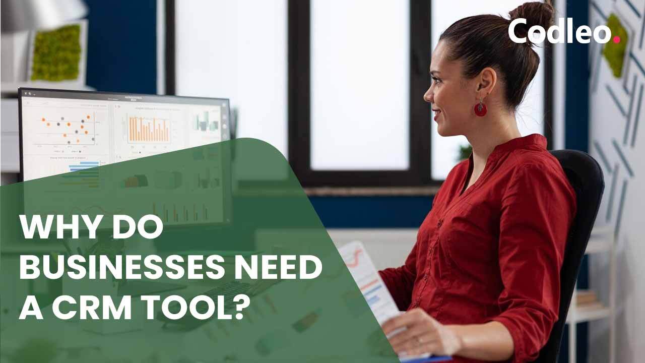 WHY DO BUSINESSES NEED A CRM TOOL?