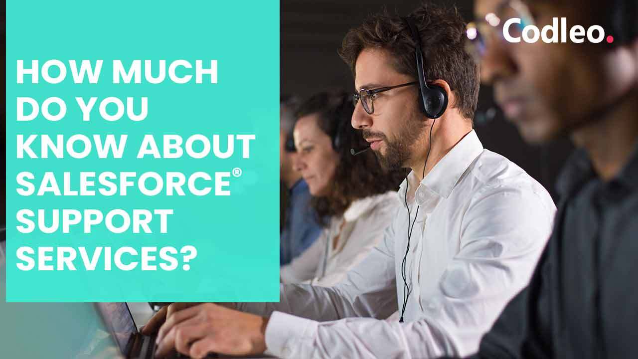 HOW MUCH DO YOU KNOW ABOUT SALESFORCE SUPPORT SERVICES?