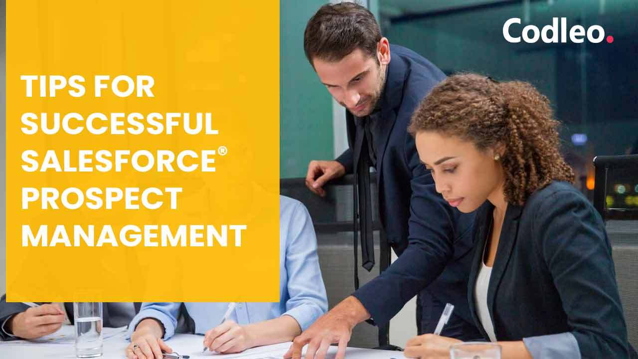 Salesforce Consulting Partners