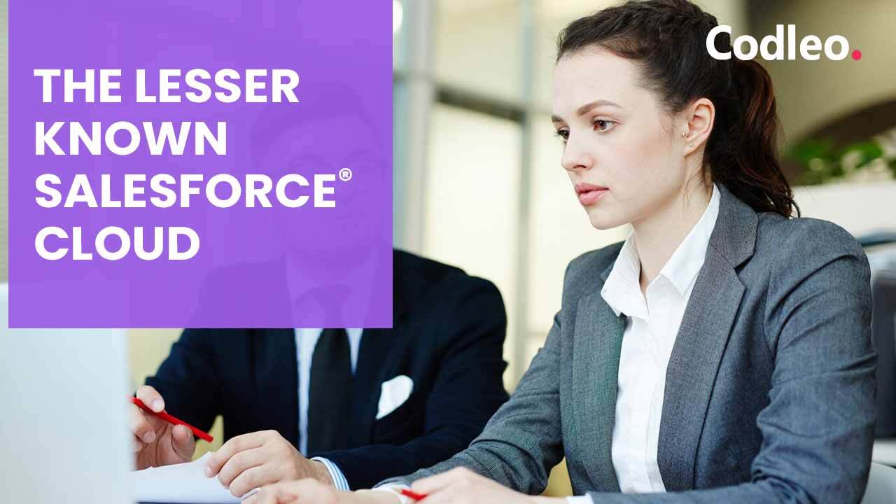 Salesforce Partners