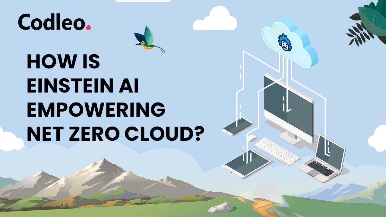 HOW IS EINSTEIN AI EMPOWERING NET ZERO CLOUD?