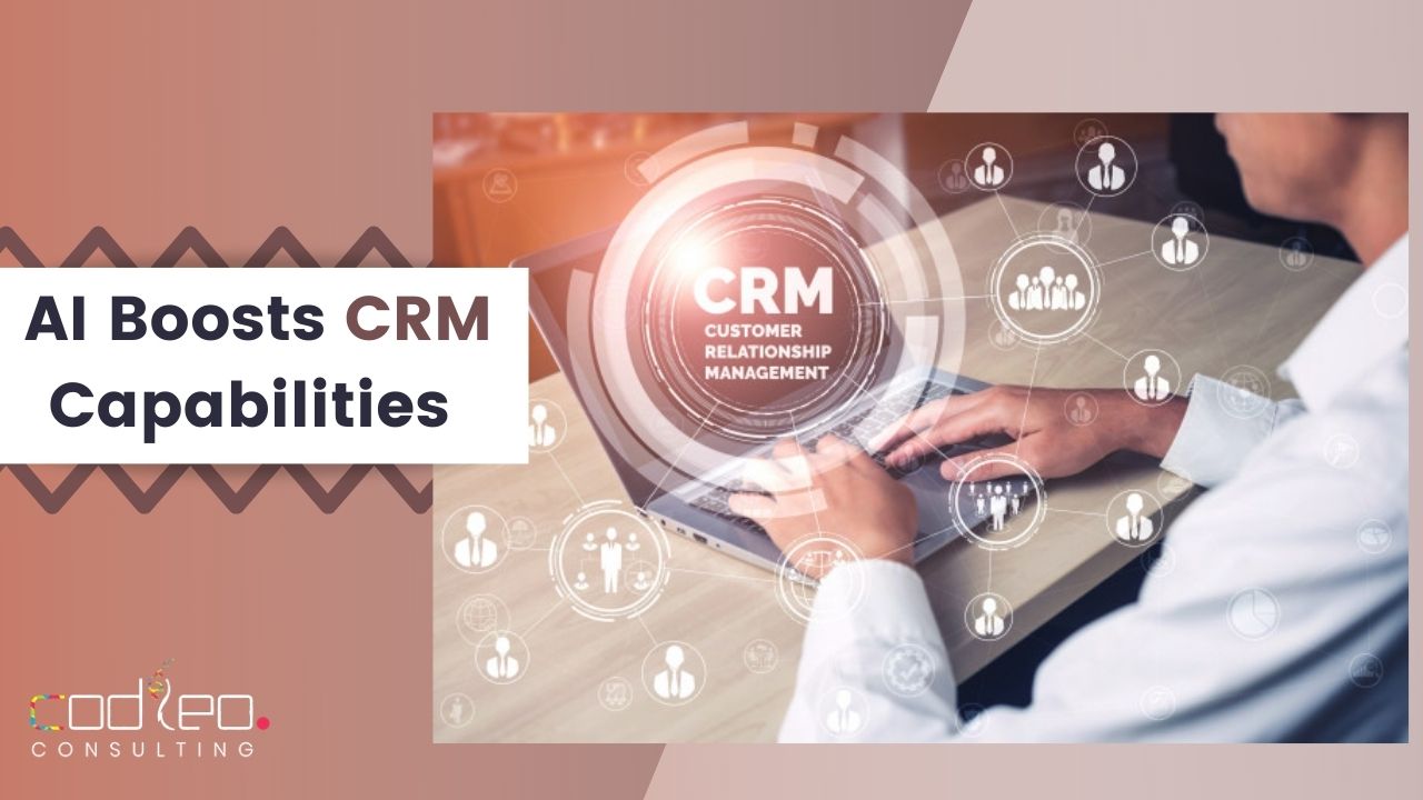 CRM Consulting Company