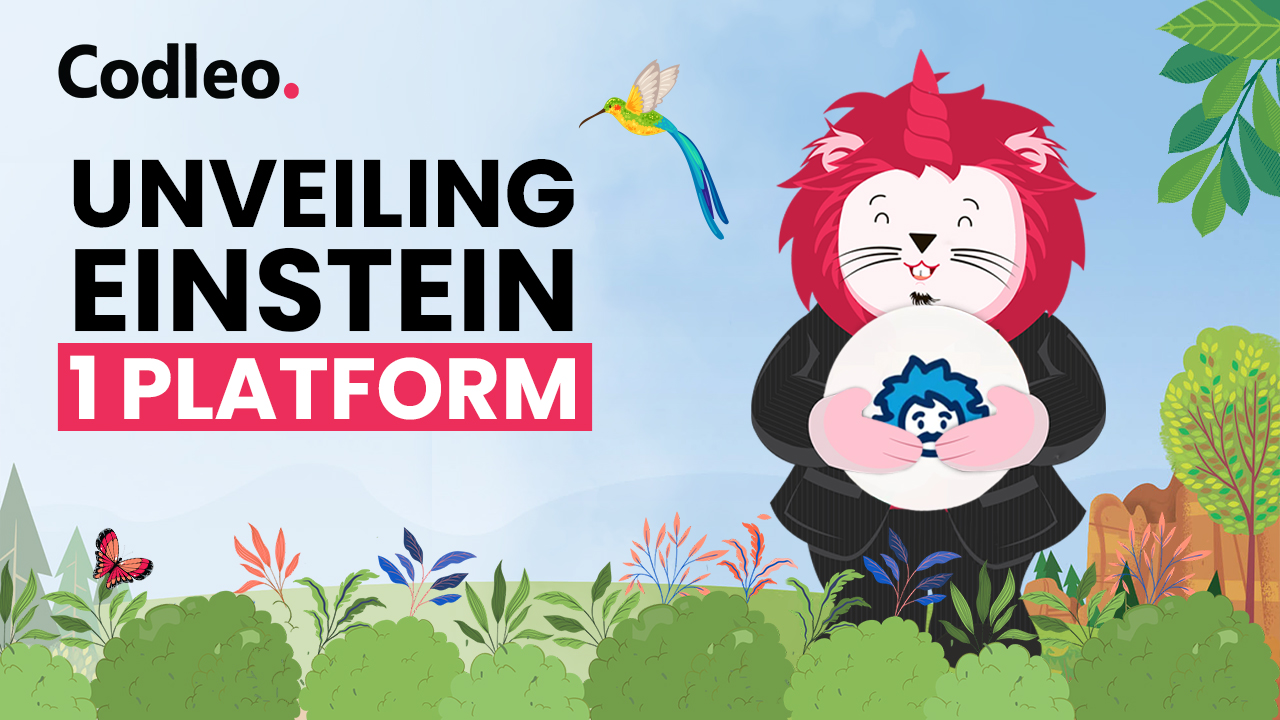 Salesforce Partner