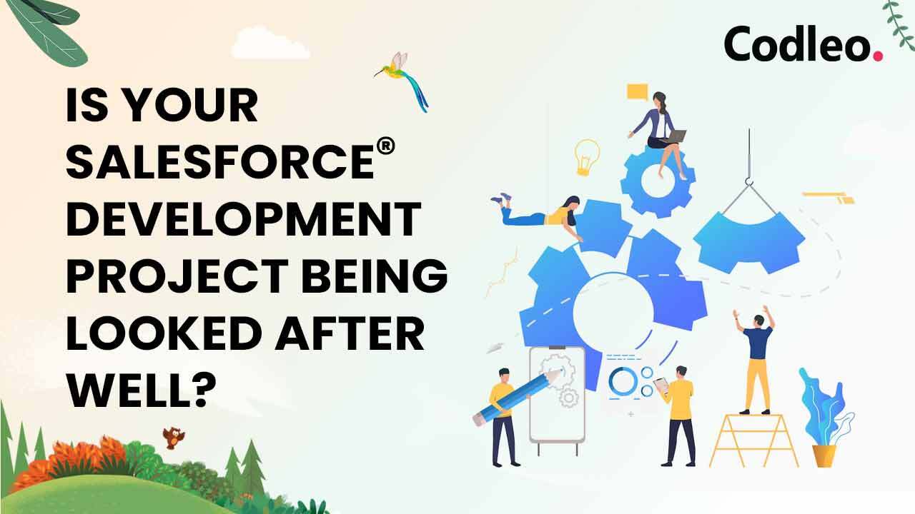 IS YOUR SALESFORCE DEVELOPMENT PROJECT BEING LOOKED AFTER WELL?