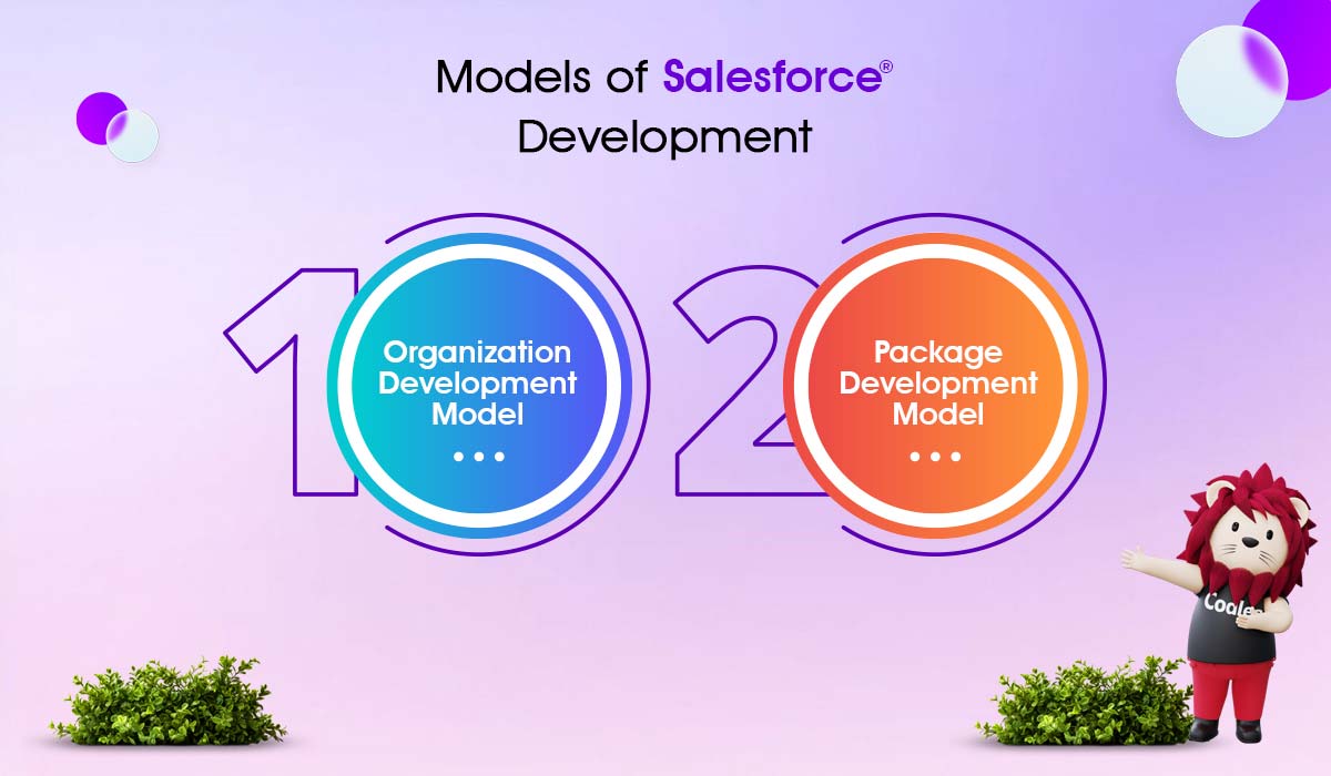 Salesforce development models