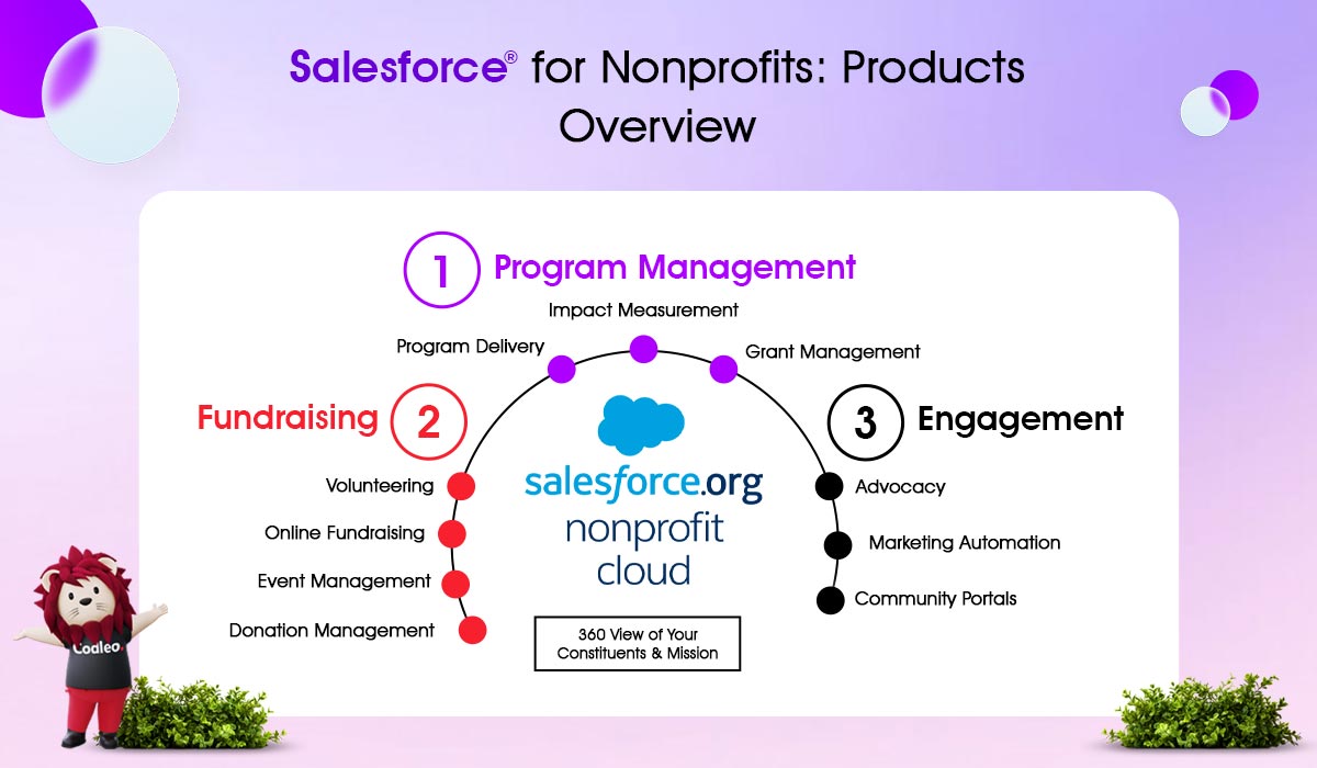 salesforce for nonprofits