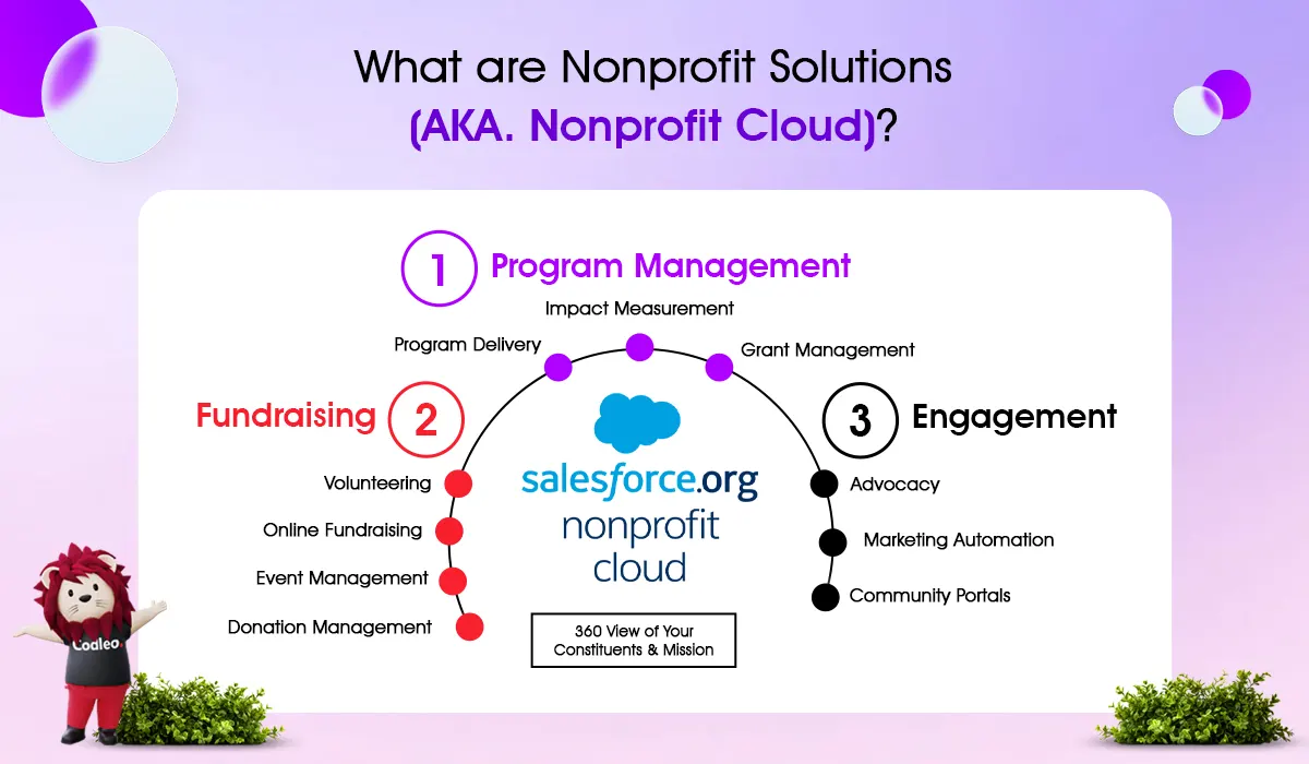program management