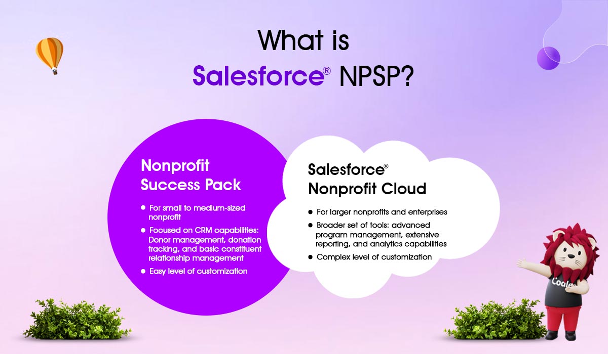 what is salesforce npsp