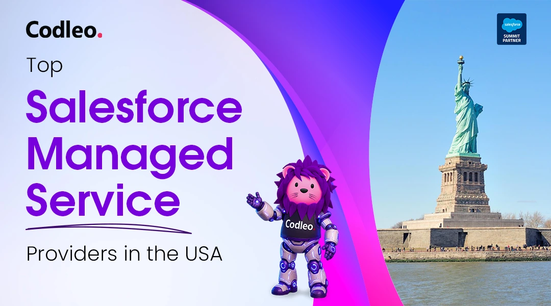 Salesforce Support Services