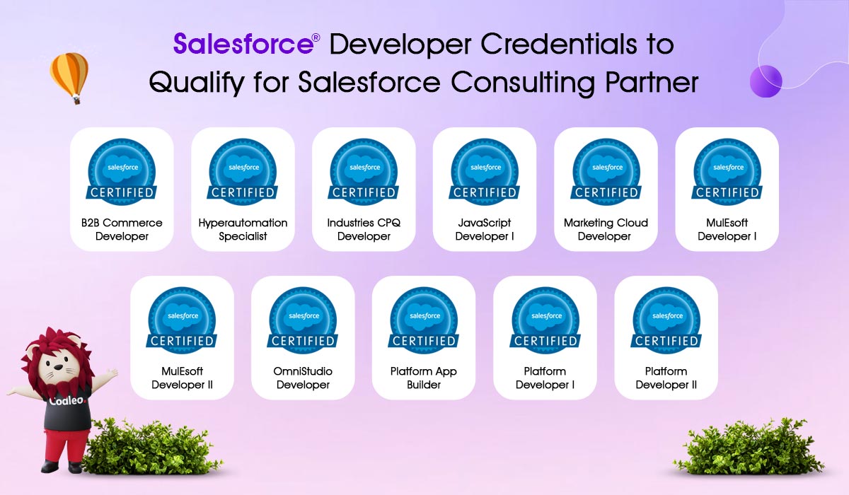 sallesforce developer credentials