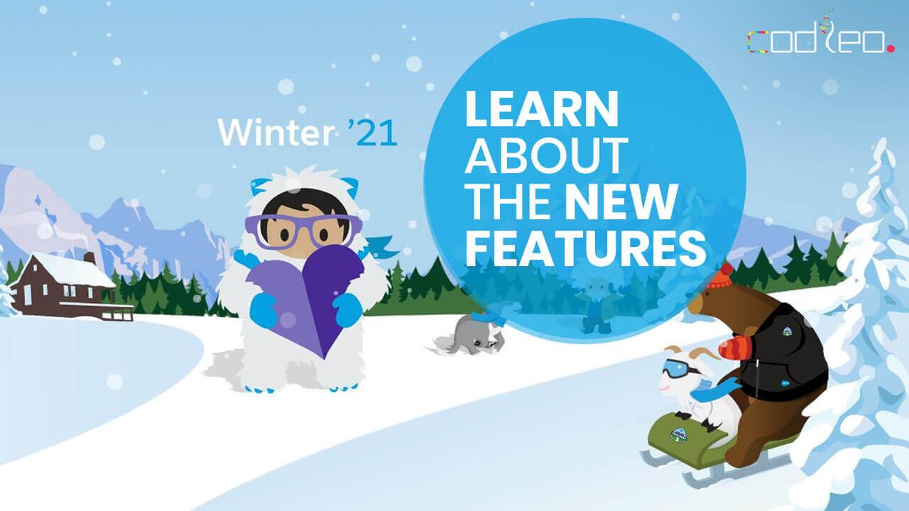 Salesforce Winter 2021 Features