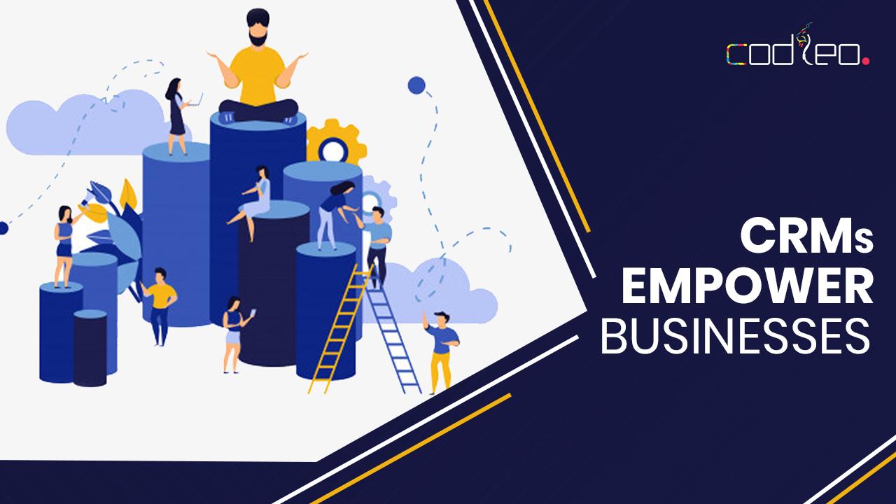 curating a customised CRM