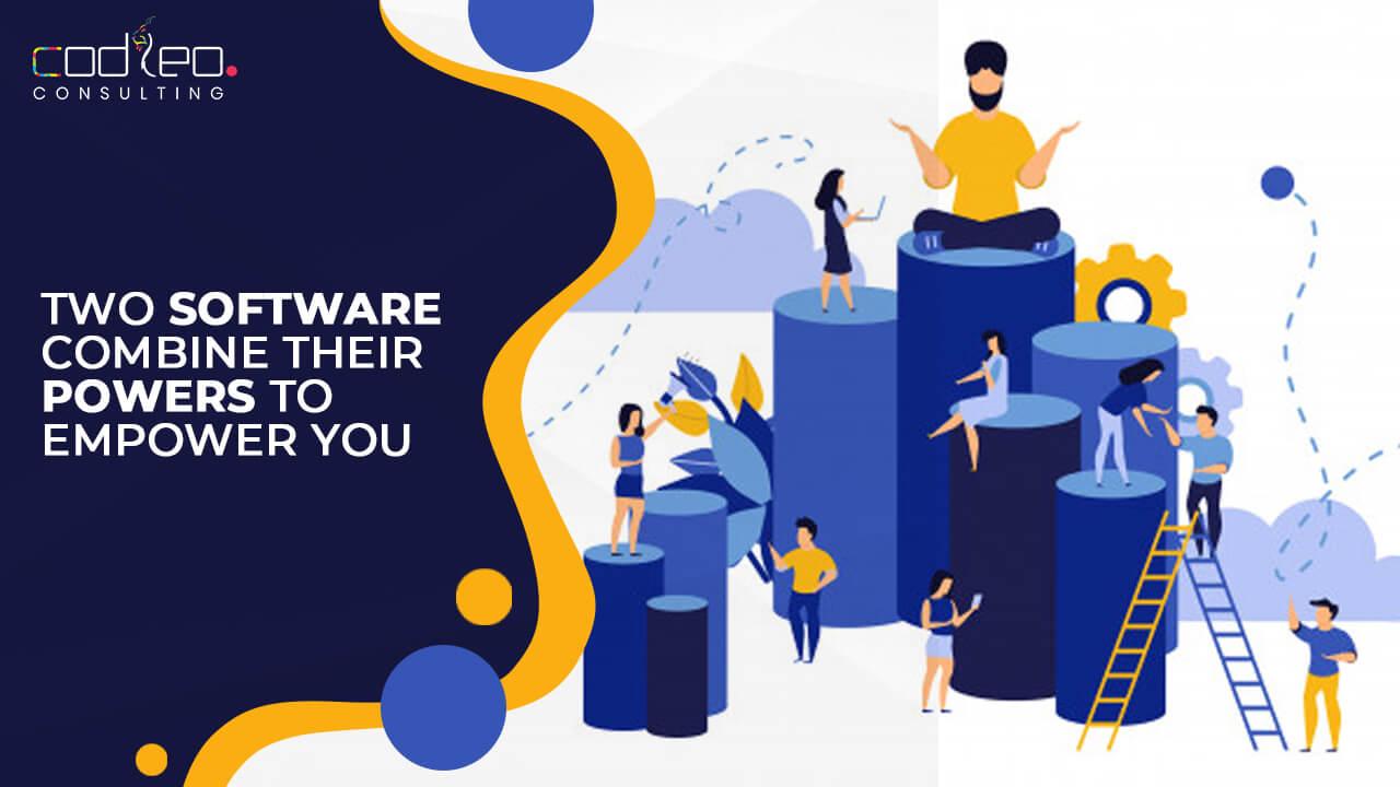 Salesforce Integration Services
