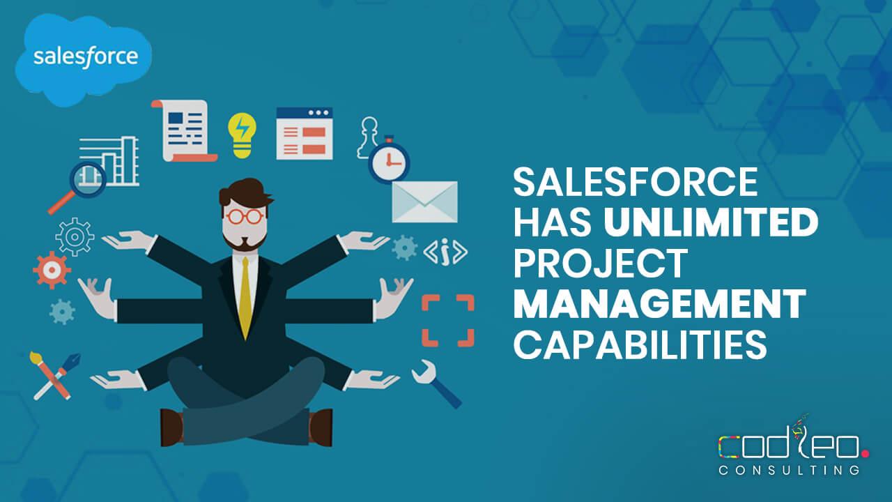 Salesforce Consulting Service