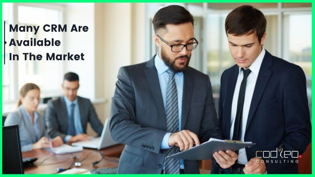 Employees looking for CRM tools