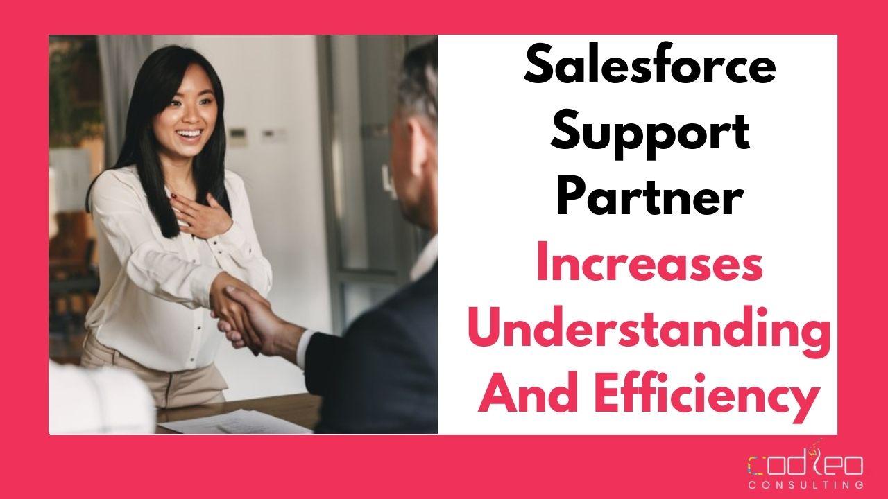Salesforce Support Partner increases understanding and efficiency