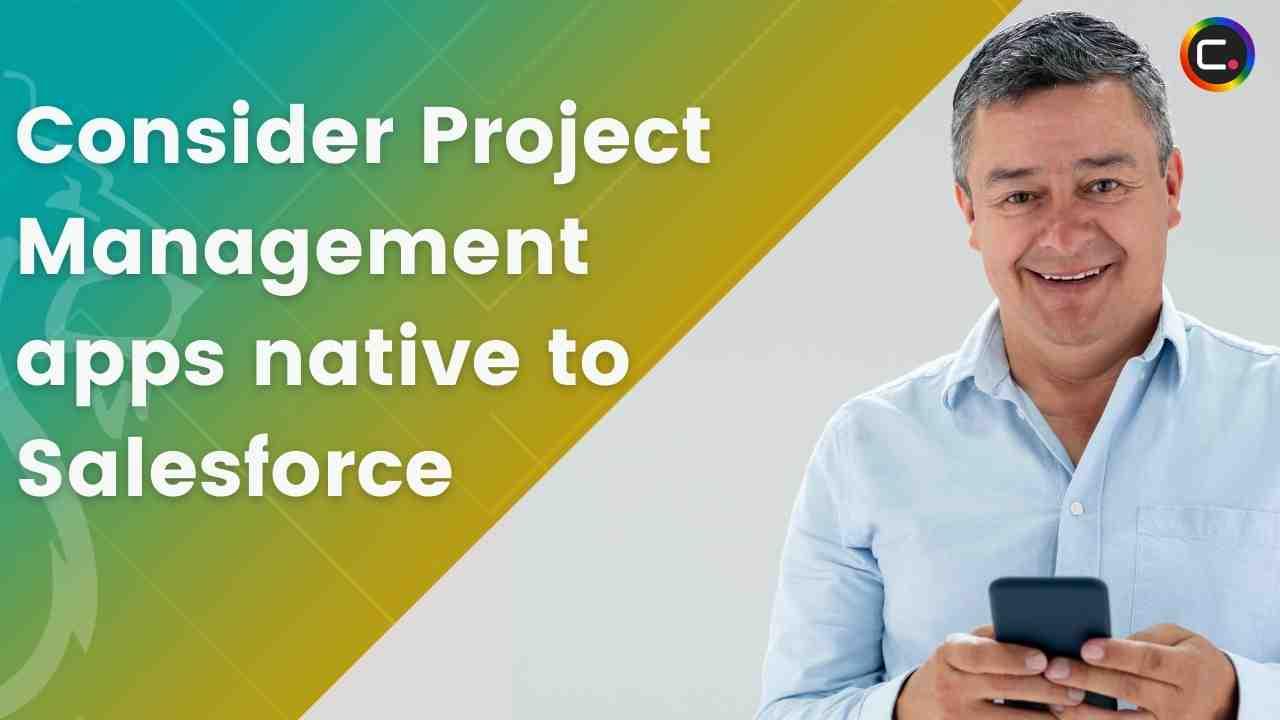 Salesforce Project Management
