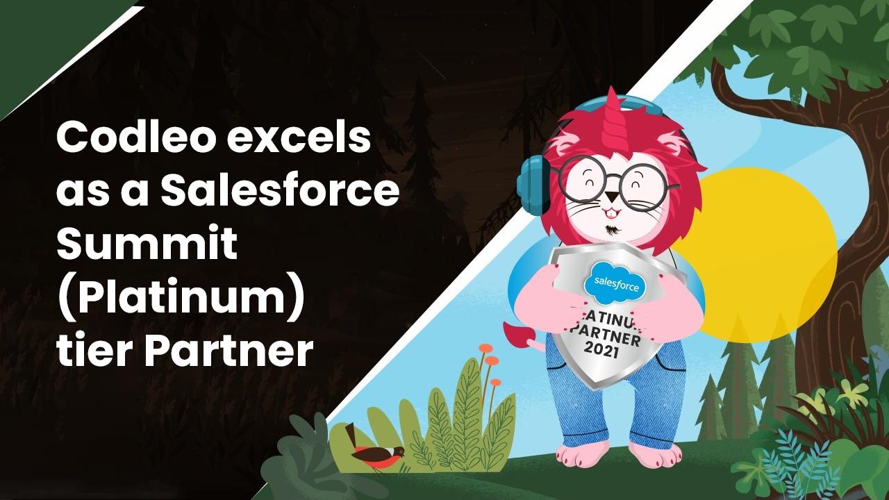 Salesforce Platinum Partners