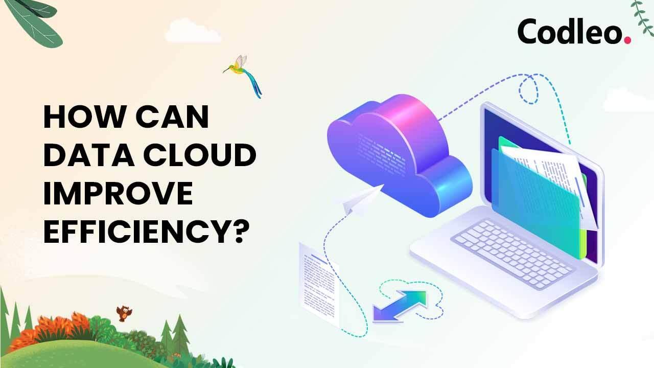 Salesforce Data Cloud
