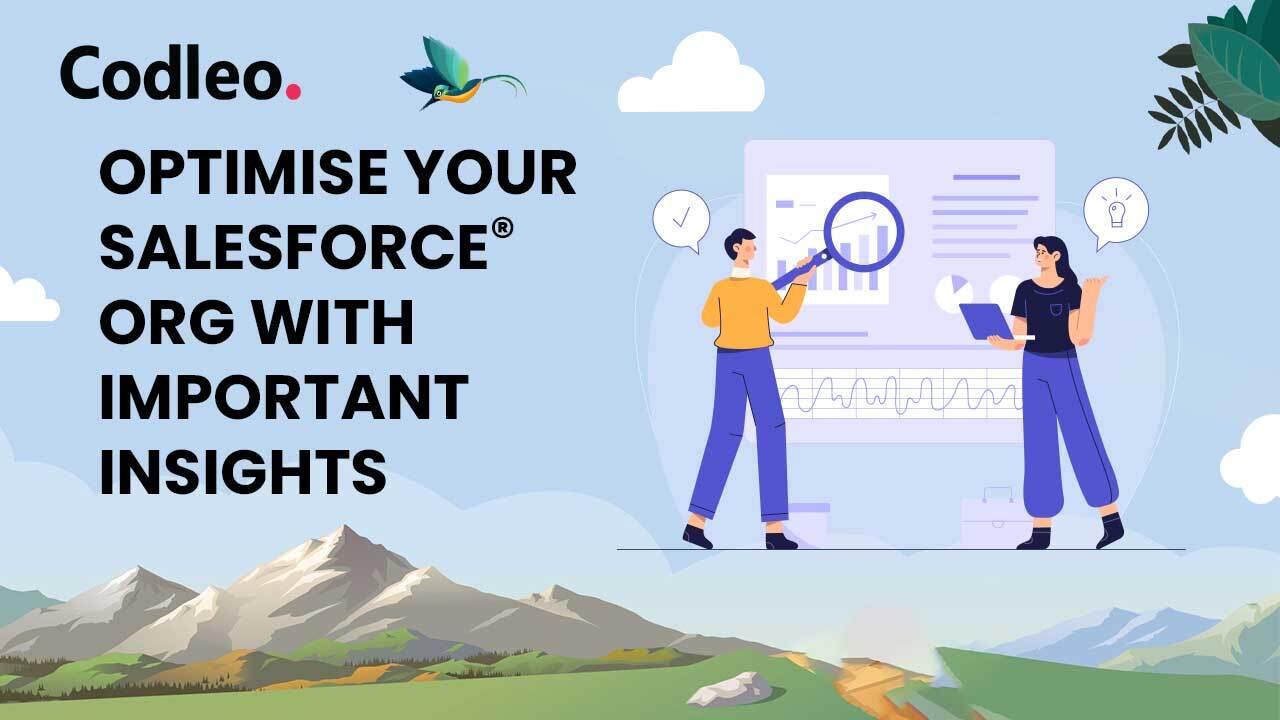 OPTIMISE YOUR SALESFORCE ORG WITH IMPORTANT INSIGHTS