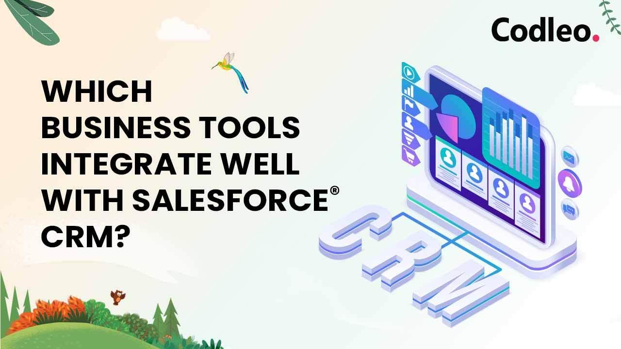 Salesforce Integration Services
