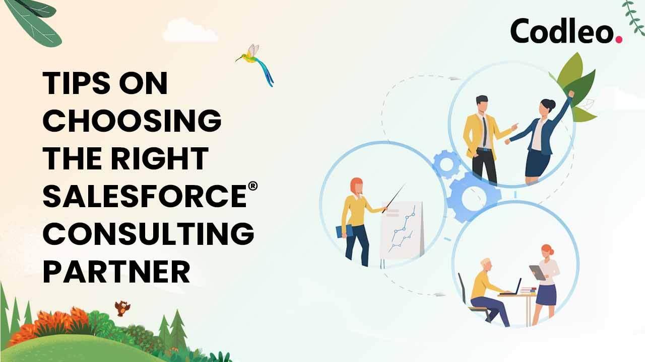 Salesforce Consulting Partners