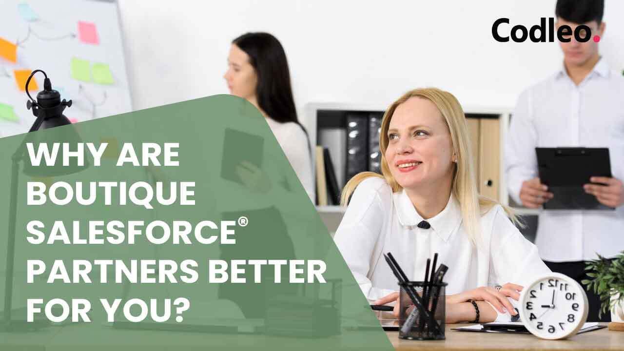 Salesforce Partner