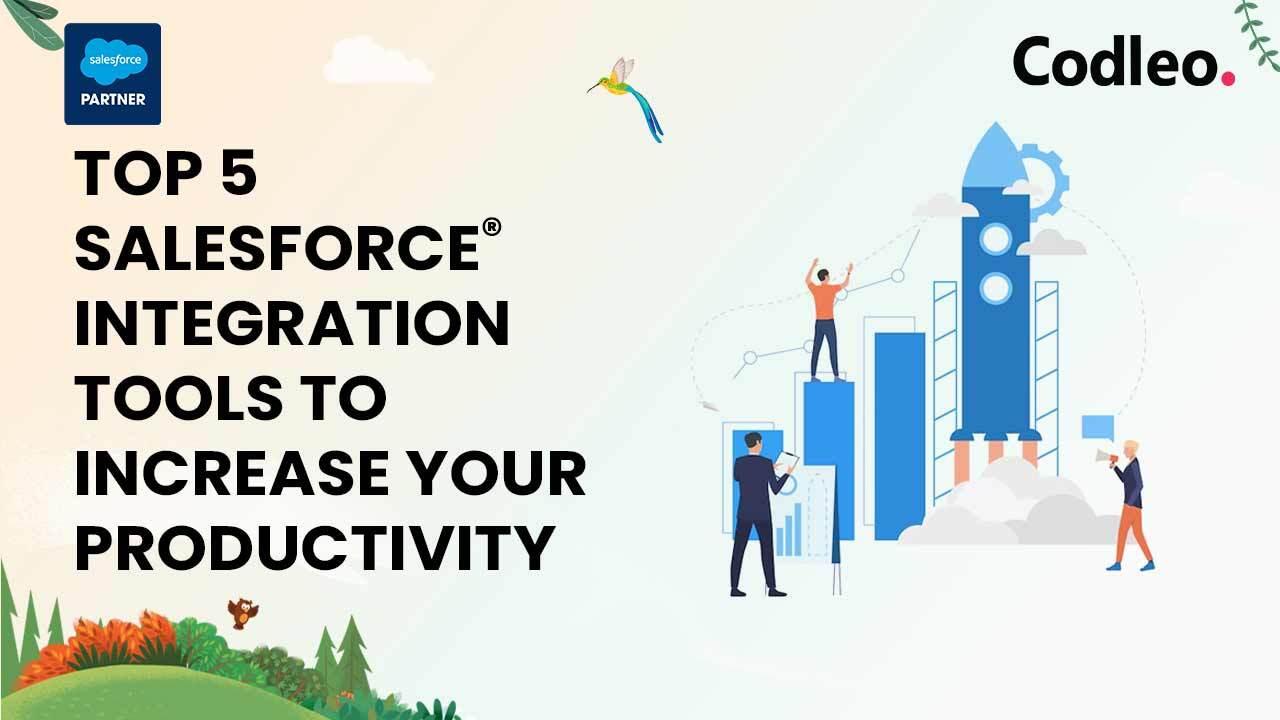 Salesforce Integration Services