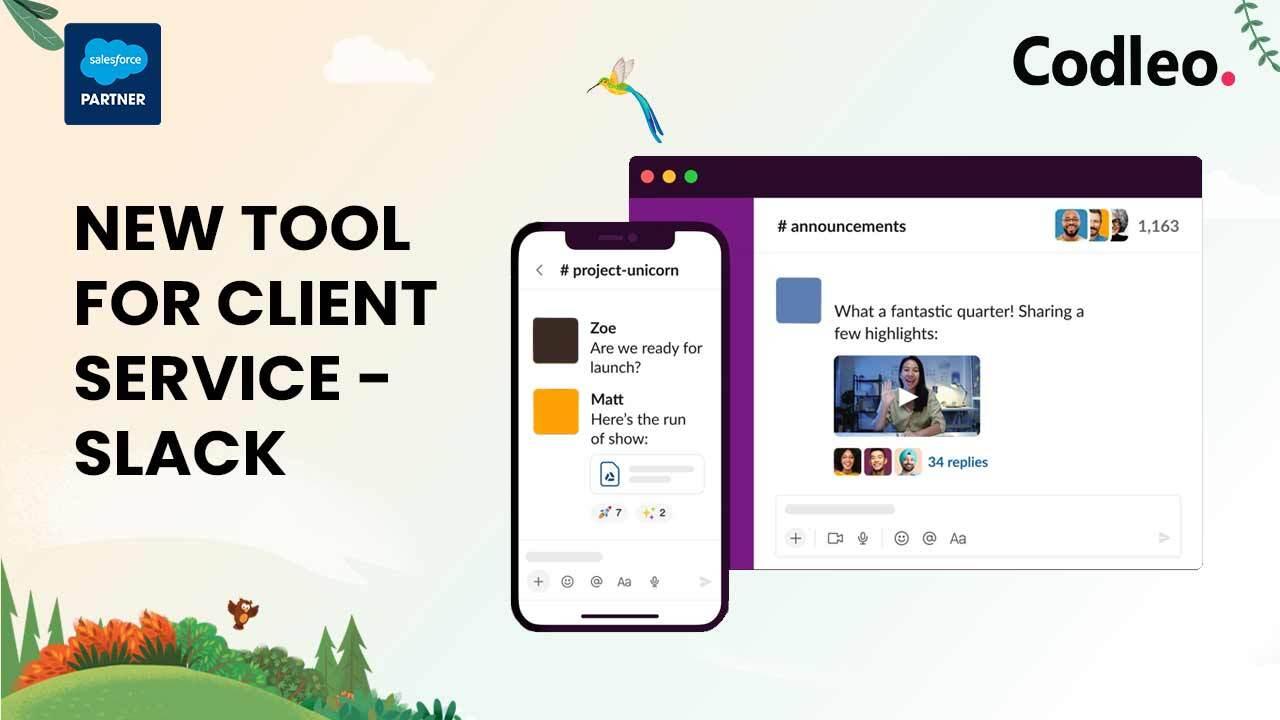 Salesforce Partner