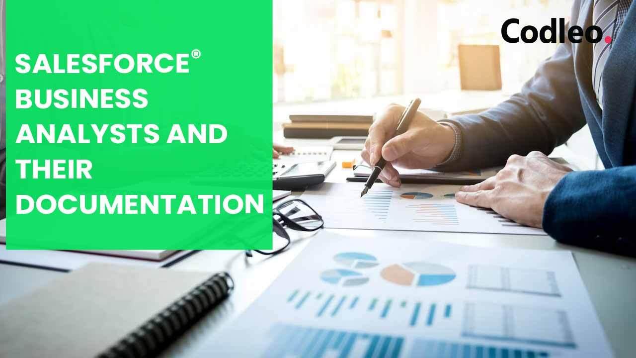SALESFORCE BUSINESS ANALYSTS AND THEIR DOCUMENTATION