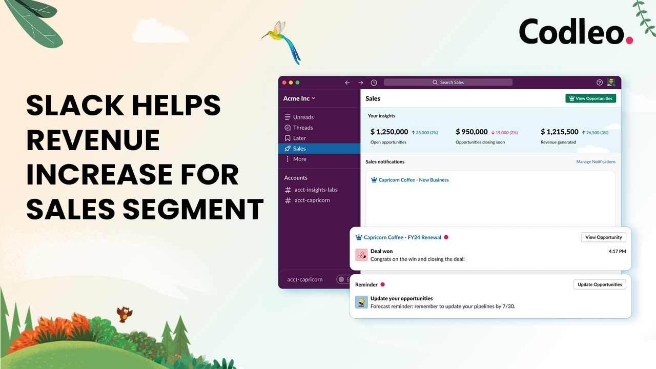 SLACK HELPS REVENUE INCREASE FOR SALES SEGMENT