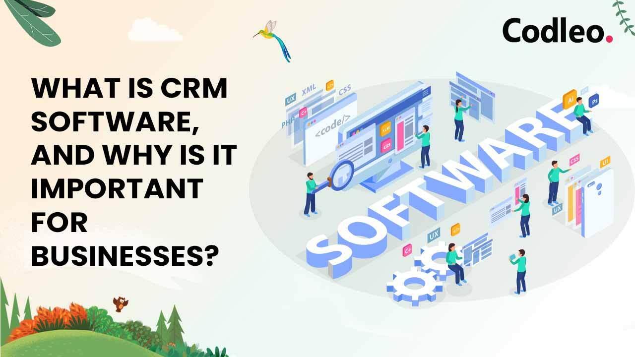 CRM Consulting Company