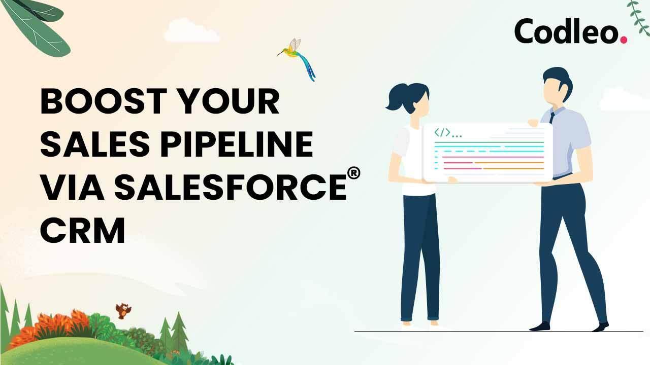 Salesforce Partner