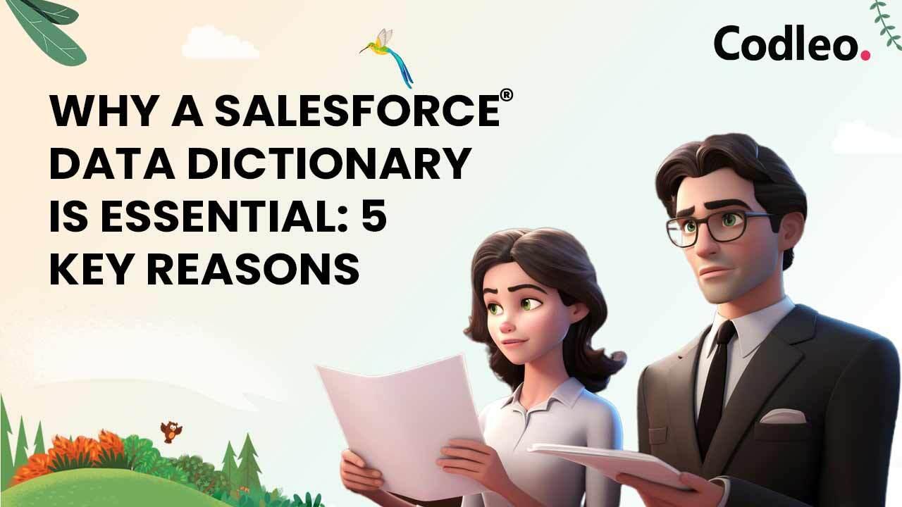 SALESFORCE DATA DICTIONARY