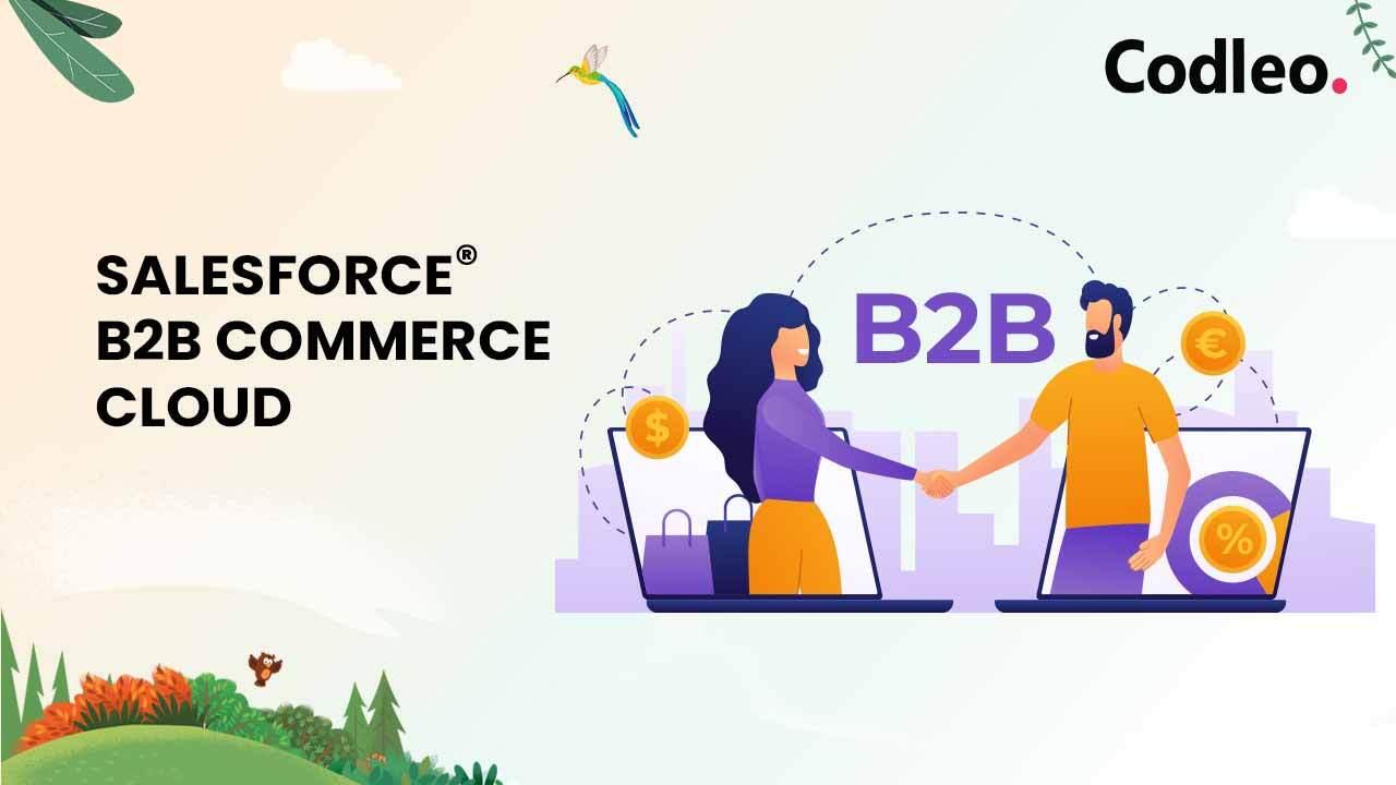 SALESFORCE B2B COMMERCE CLOUD