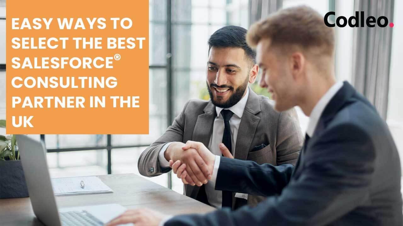 Salesforce Consulting Service