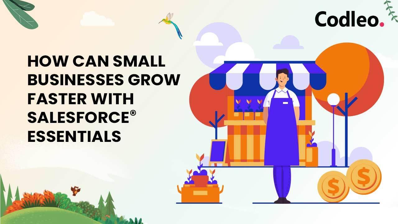 Salesforce Support Services