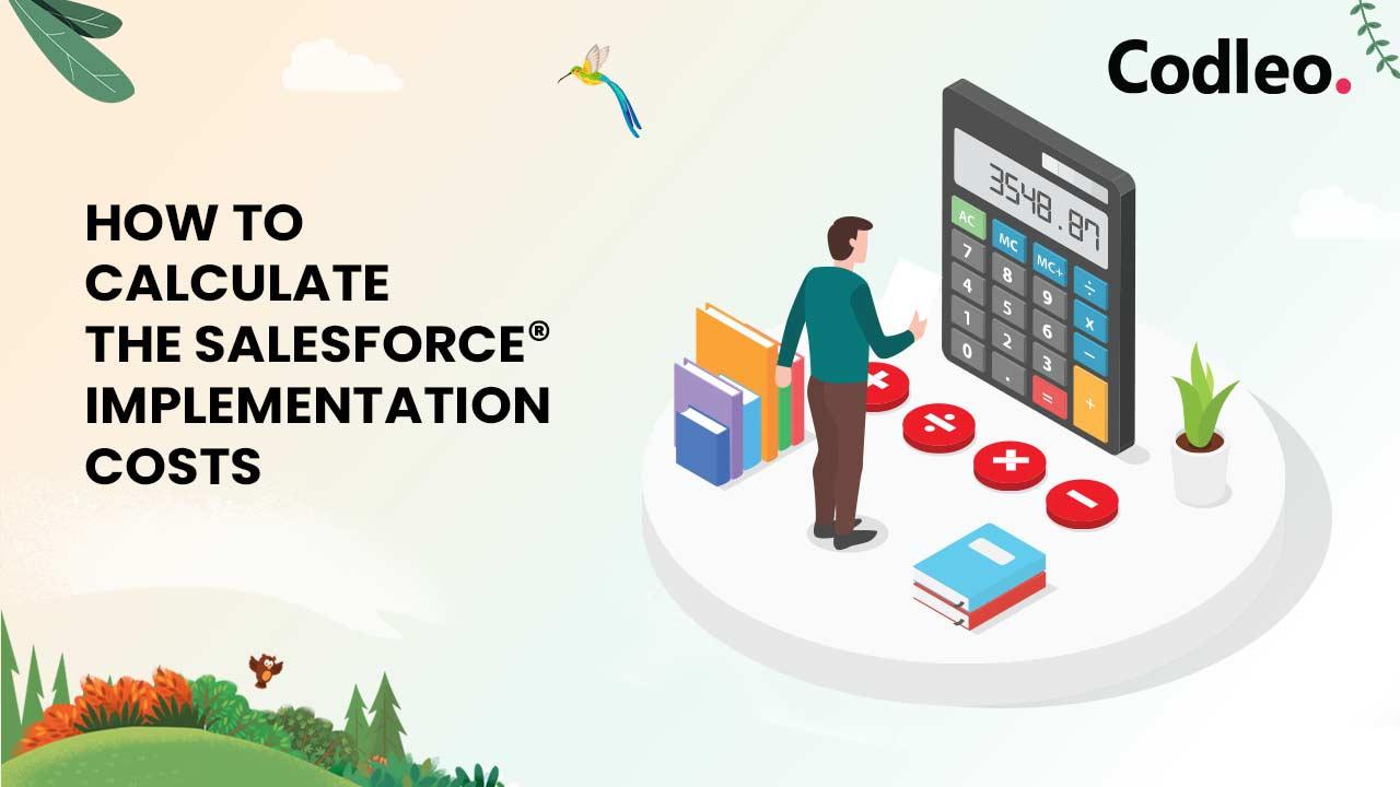 Salesforce Implementation Services