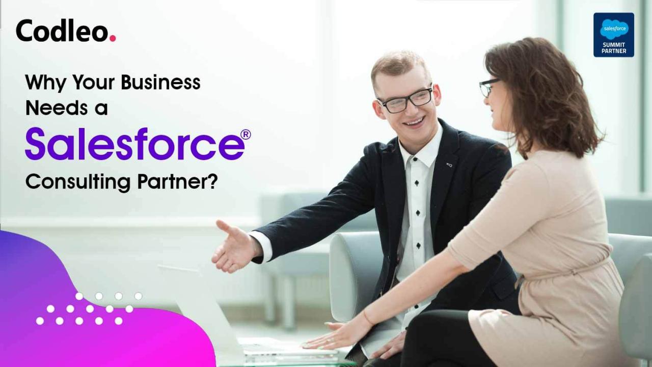 Salesforce Consulting Service