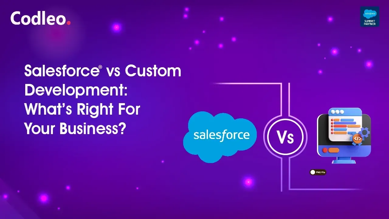 Salesforce Development Services
